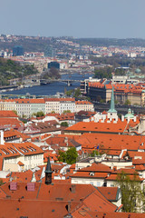 Spring Prague City with the green Nature and flowering Trees, Czech Republic