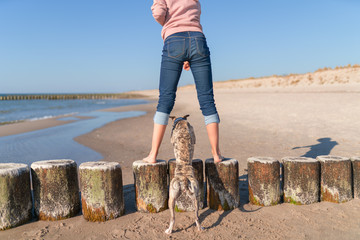 Frauchen und Hund trainieren gemeinsam am Strand