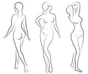 Collection. Silhouette of a cute lady, she stands and walks. The girl has a beautiful nude figure. Woman - young sexy and slim model. Set of vector illustrations