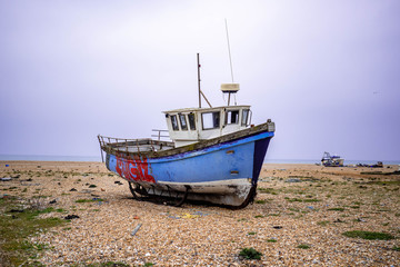 Dungeness