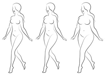 Collection. Silhouette of a beautiful woman figure. The girl is thin, the woman is overweight. The lady is standing, she is slim and sexy. Set of vector illustrations