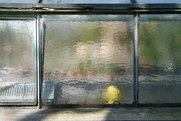 Garden shed closeup on a sunny day with shadows from trees. You see gardening items through the milk glass.