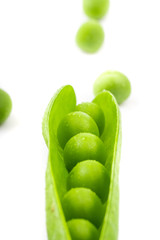 fresh green pea