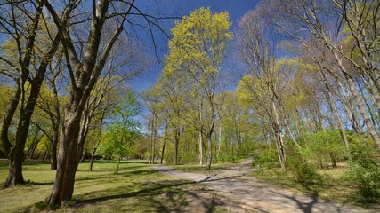 Obraz premium Spring Impressions from the Goethe Park in Berlin-Wedding from April 21, 2015, Germany