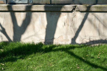 Beatiful shadows on grass and an old crackling wall.