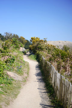 Seaside road country beach