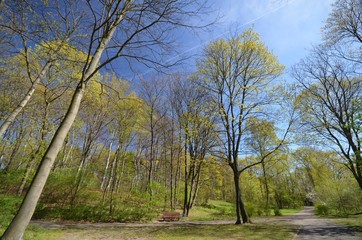 Obraz premium Spring Impressions from the Goethe Park in Berlin-Wedding from April 21, 2015, Germany