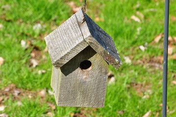 Old Wooden Bird House with a Grassy Background