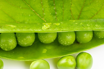 fresh green pea