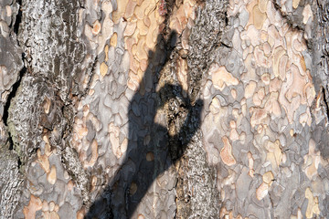 Is beatuiful and has varous interesting shapes and cracks that make this image perfect for backgrounds or editing. There are some handgestures out of the photographers shadows.