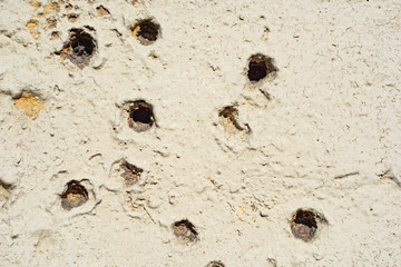Many holes in the old wall