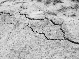 Cracked dried ground.Dried earth and grass close-up