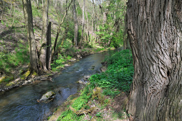 im appelbachtal bei wöllstein
