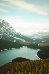 Autumn colors in Alberta