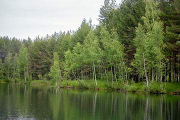 Obraz premium A lake surrounded by green forest on a cloudy summer day. Trees are reflected in the water. Panoramic view of wildlife on a summer day.