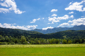 Fototapeta na wymiar Beautiful Pastures of Triglav National Park, Julian Alps, Slovenia