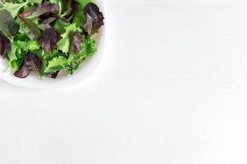Salad leaves in a white plate on a white background. Diet banner frame. Vegan banner. View from above