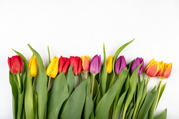 Tulips on a clear table. Beautiful flowers prepared to arrange the bunch.