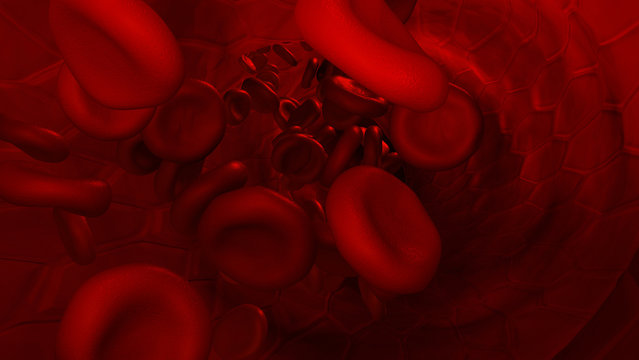 vene im querschnitt mit erythrozyten oder roten blutkörperchen als visualisierung