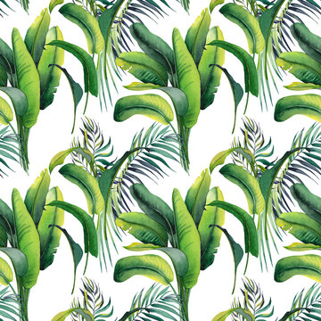 Seamless pattern tropical banana and palm leaves. Watercolor illustration on white background.