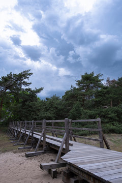 Schwanheimer D&uuml;nen