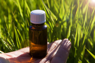 Fresh herbs - natural remedies.