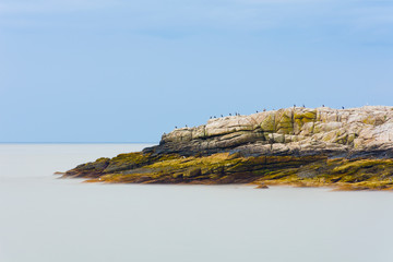 Maine rocky coast. Long exposure of rocky outcrop with seabirds © Gerald Zaffuts
