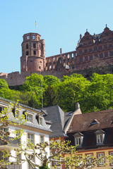 Fototapeta na wymiar Heidelberger Schloss, Altstadt, Deutschland