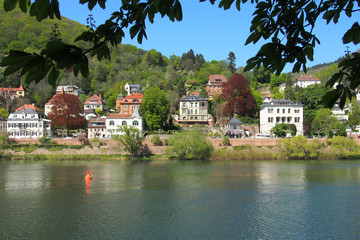 Fototapeta na wymiar Heidelberg: Villenviertel am Neckarufer