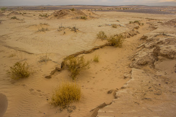 Fototapeta na wymiar Atacama desert south America sand wilderness scenery landscape 