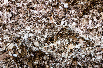 Sawdust and compost compost in the Compost Barn system. Cattle confinement ensured higher...
