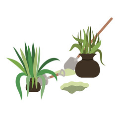 trees to plant isolated icon