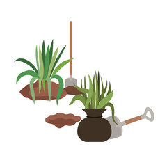 trees to plant isolated icon