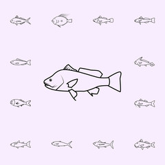 freshwater drum icon. Fish icons universal set for web and mobile