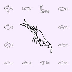 scampi icon. Fish icons universal set for web and mobile