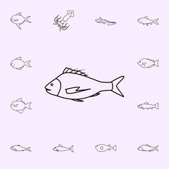 tarakihi icon. Fish icons universal set for web and mobile