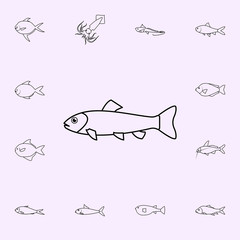 trout icon. Fish icons universal set for web and mobile