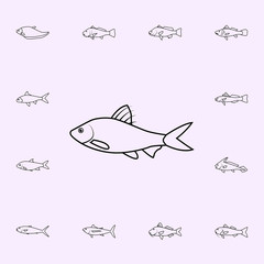 puntius filamentosus icon. Fish icons universal set for web and mobile