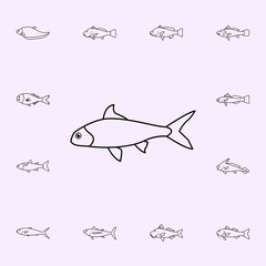 labeo boggut icon. Fish icons universal set for web and mobile