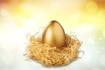 Obraz premium Animal egg.