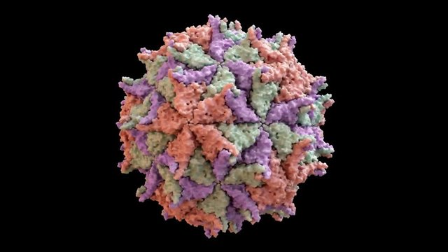 Nodamura Virus (Nodaviridae) Capsid Structure based on PDB : 1NOV, 360 degree rotation loop