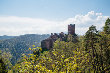 Elevated aerial view of majestic Chateau de Saint-Ulrich near Ribeauville in France Alsace with forest perspective over hills