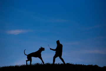 silhouette of man and dog on blue sky