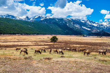 Beautiful Spring Hike to Flattop Mountain in Rocky Mountain National Park, Colorado