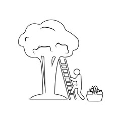 man collects fruit from a tree icon. Element of Garden for mobile concept and web apps icon. Outline, thin line icon for website design and development, app development
