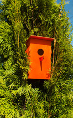 birdhouse on a green blossoming tree