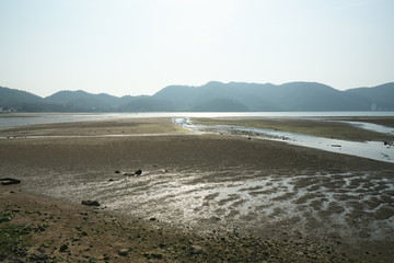 Amami Oshima, Japan - April 8, 2019: Tekabu district in Amami Oshima, Kagoshima, Japan