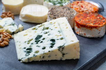 Assortment of French fresh white soft goat cheeses with different tastes topping made with herbs, paprika, indian curry, bruscetta, chives and dried tomatoes and piece of blue cheese Roquefort