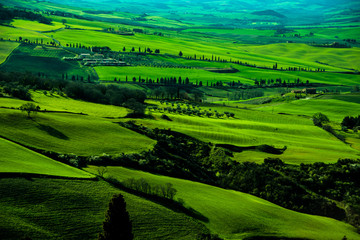 Obraz premium Val D'Orcia