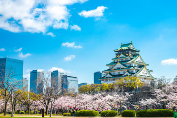 Obraz premium Zamek w Osace wiosną